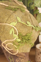 Gavroche Mousses spirale