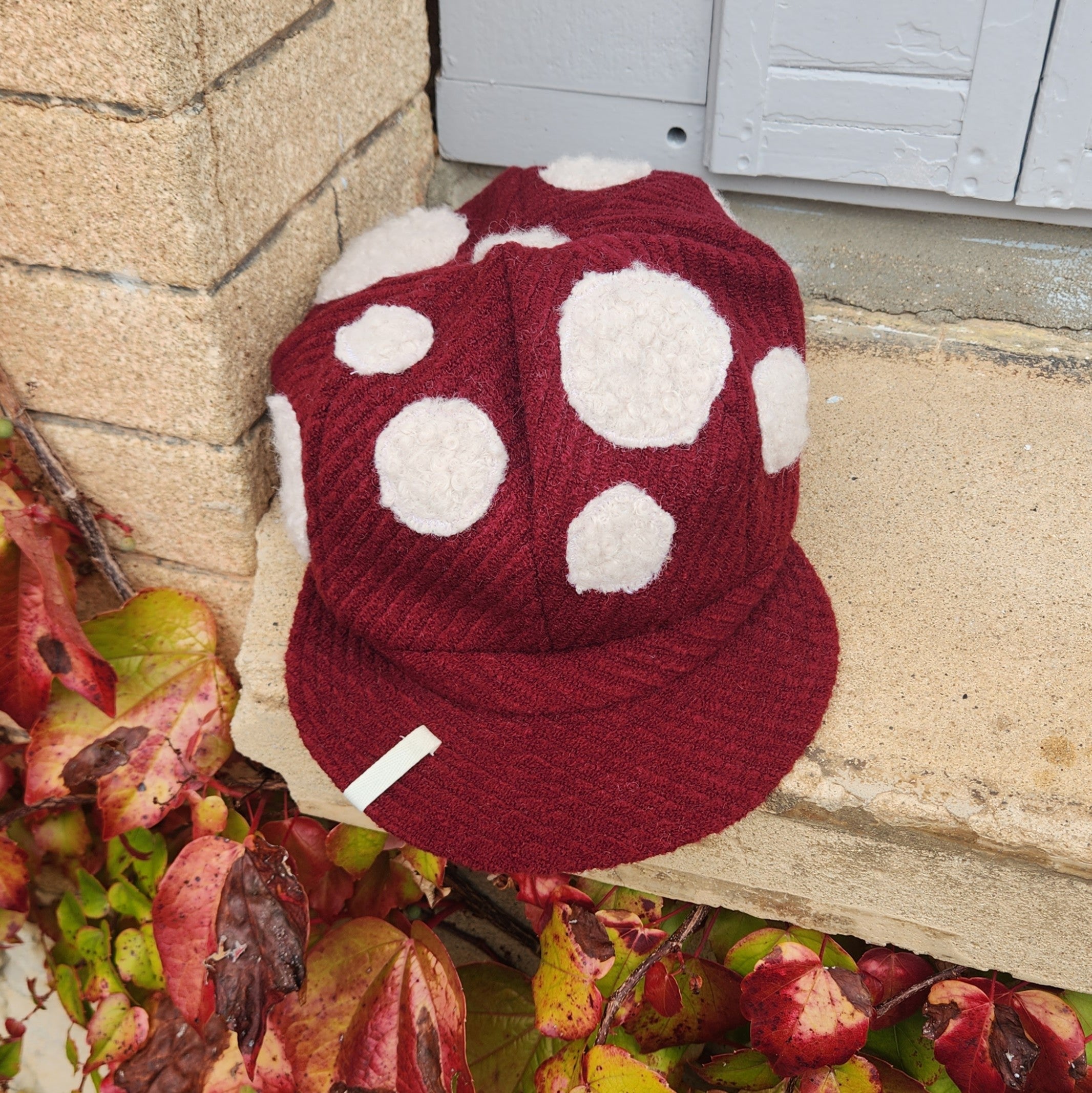 Gavroche Amanite rouge